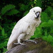Tiere_1